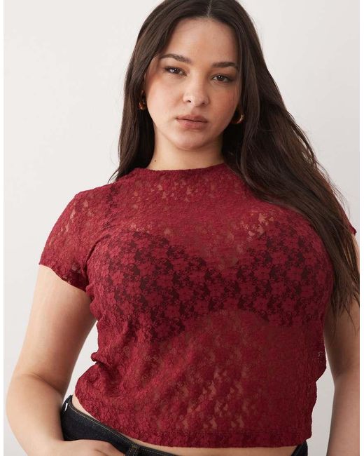 ASOS Red Asos Design Curve Lace Baby Tee