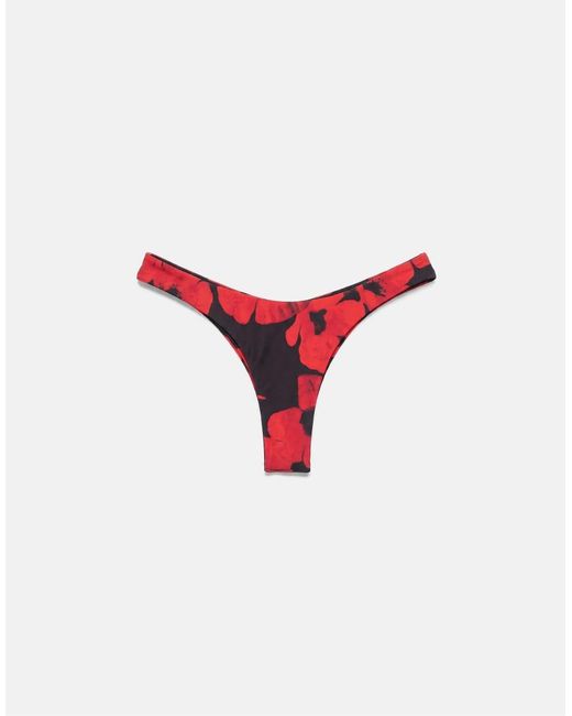 Pull&Bear Brown Poppy Print Brazilian Bikini Briefs