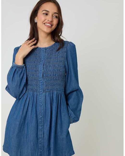 Threadbare Blue Shirred Denim Button Up Mini Dress