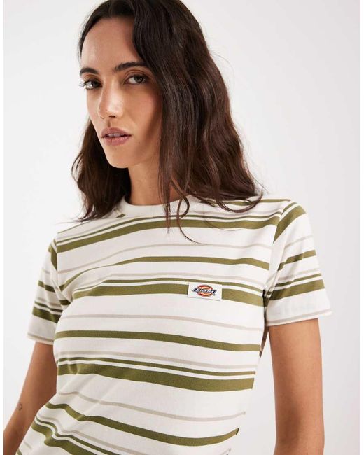 Dickies White Glade Spring Striped Baby Tee