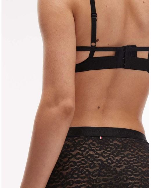 Tommy Hilfiger Black Modern Lace Bikini Briefs