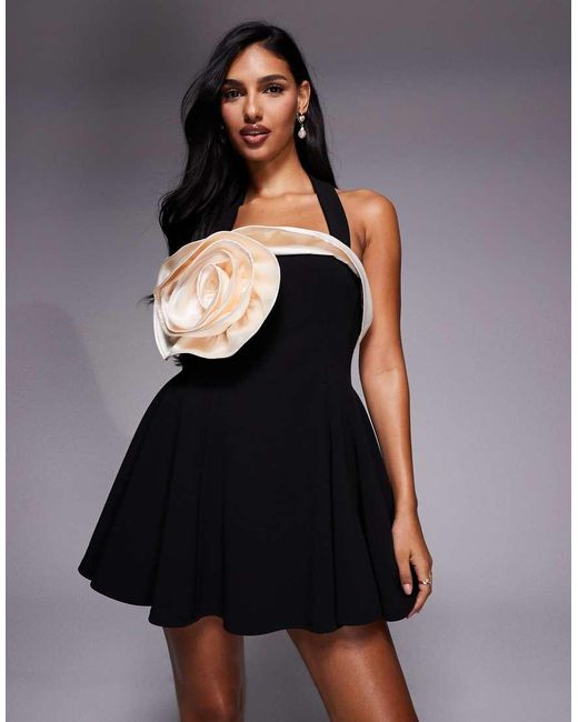 ASOS Black Halterneck Mini Dress With Contrast Corsage Detail
