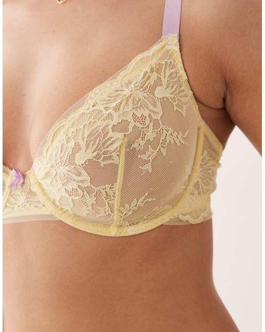 ASOS Brown Fuller Bust Stevie Lace Underwire Bra With Contrast Trims