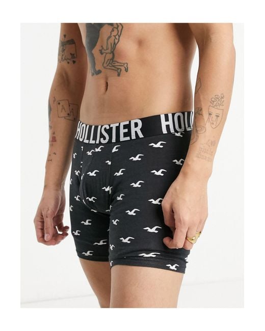 Hollister underwear sales