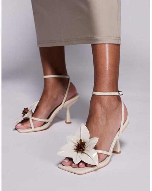 Hydrangea di Public Desire in Brown