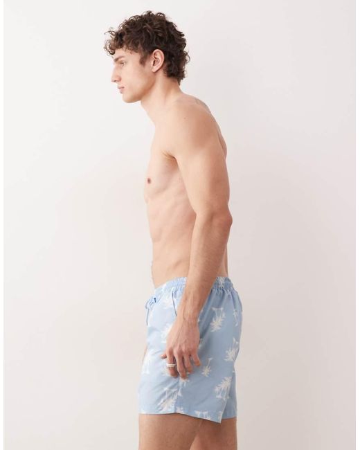 South Beach Blue Palm Tree Print Swim Shorts for men