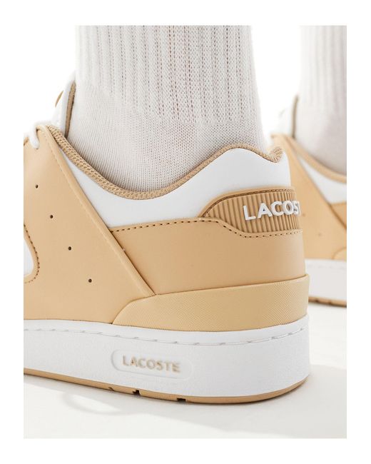 Lacoste Natural Court Cage 124 1 Sma Sneakers for men
