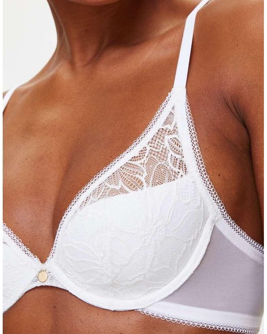 KBX Brown Alice Padded Plunge Bra