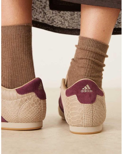 Adidas Originals Natural Taekwondo Trainers for men
