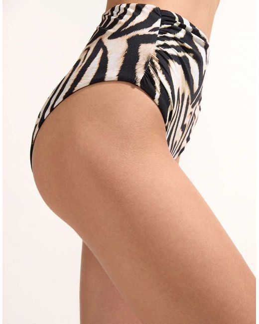 Calzedonia Black Savannah Zebra
