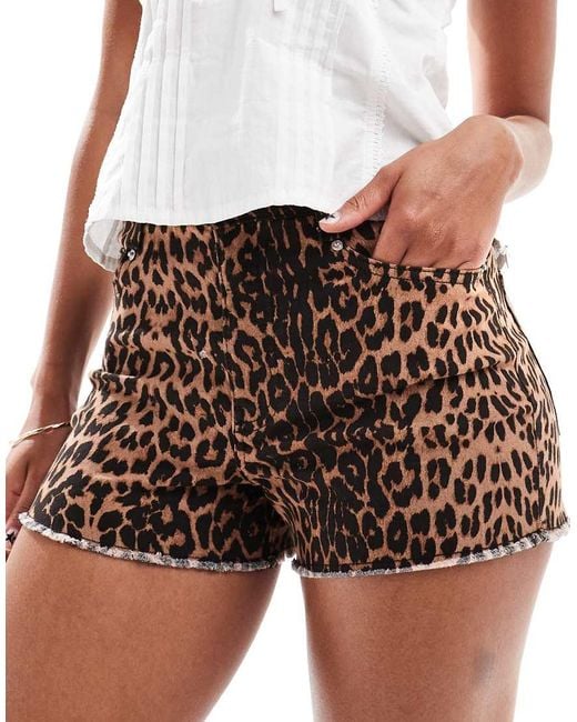Miss Selfridge Brown Leopard Print High Waist Denim Short