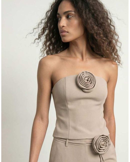 HYPEDROP Natural Bandeau Top
