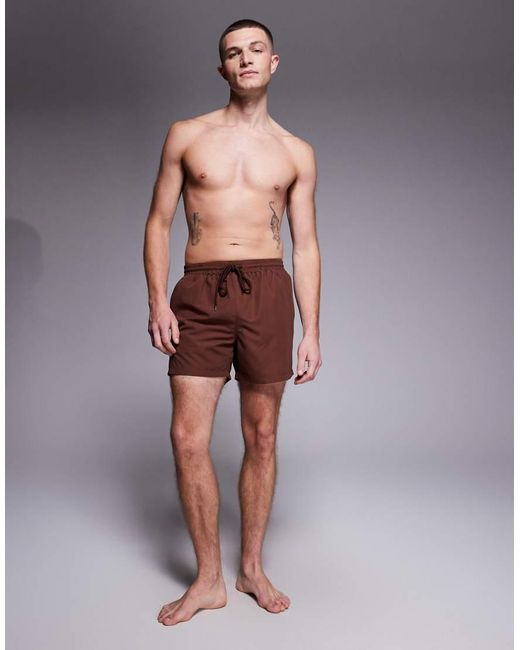 South Beach Brown Swimshort for men