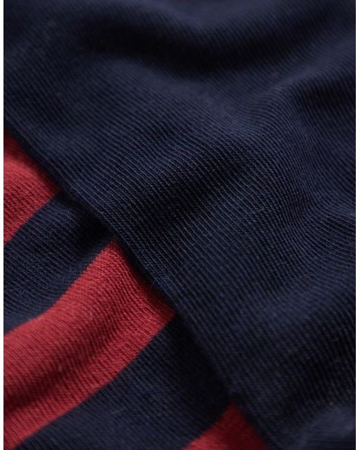 Gant Blue 2-pack Barstripe And Solid Socks for men