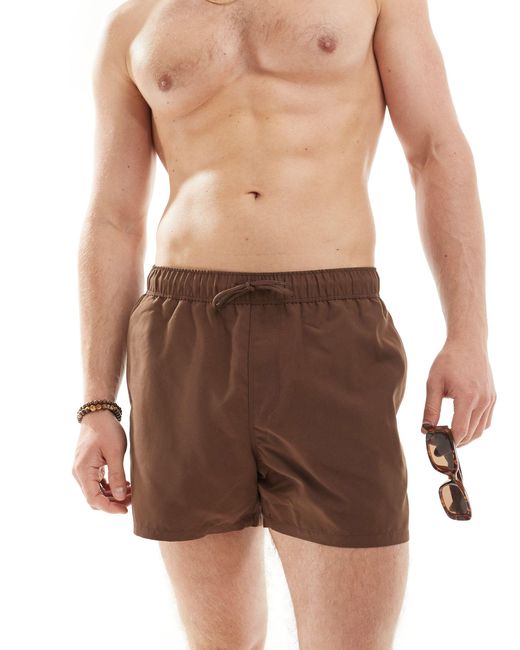 ASOS Brown Swim Shorts for men