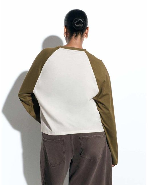 ASOS Gray Asos Design Curve Boxy Raglan With Contrast Sleeves