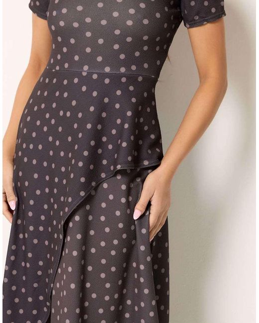 PixieGirl Brown Petite Spot Maxi Dress