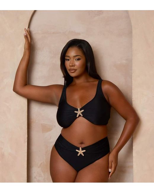 Moda Minx Curve Brown X Alessa Tyrrell-charles Starfish High Waisted Bottoms