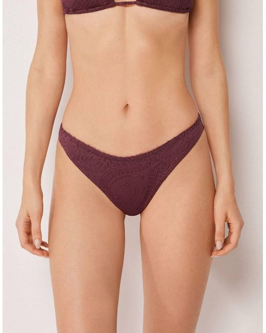 Calzedonia Red Precious Jacquard
