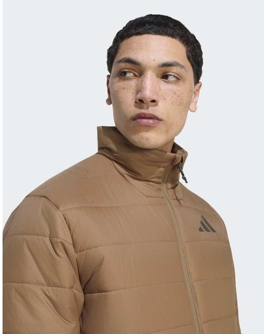 Adidas Originals Natural Terrex Multi Essentials Insulated Jacket for men