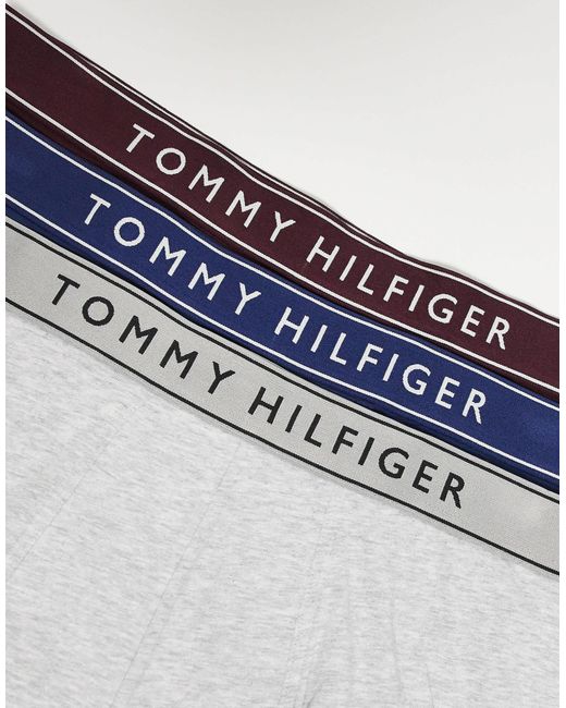 Everyday essentials - lot Tommy Hilfiger pour homme en coloris Blue