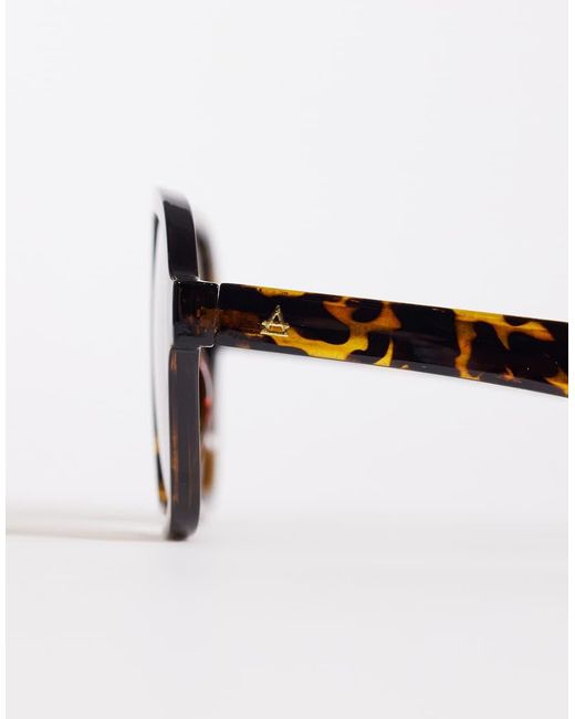Aire Natural Whirlpool Aviator Sunglasses