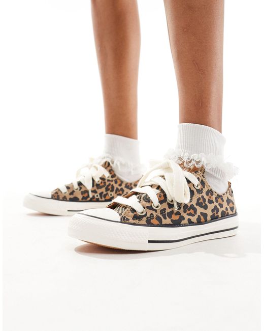 Converse White – chuck taylor all star ox – sneaker mit leopardenmuster