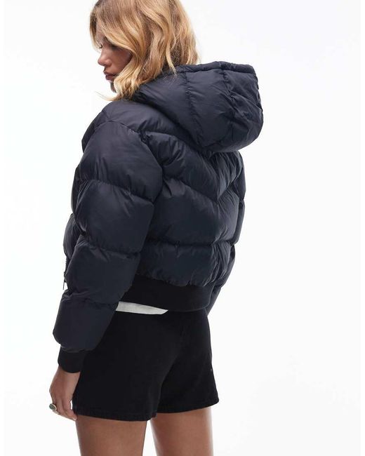 Levi's Blue Noe Western Crop Puffer Jacket