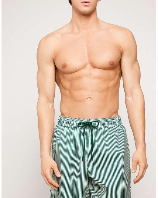 Tezenis Blue Printed Swimming Shorts for men