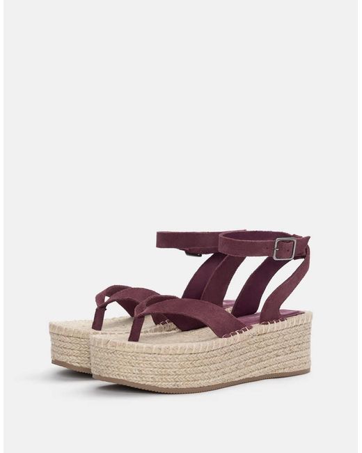 Pull&Bear Leren Sandalen Met Sleehak in het Pink