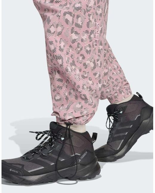 Adidas Originals Pink Terrex Xploric Clima365 Cargo Pants