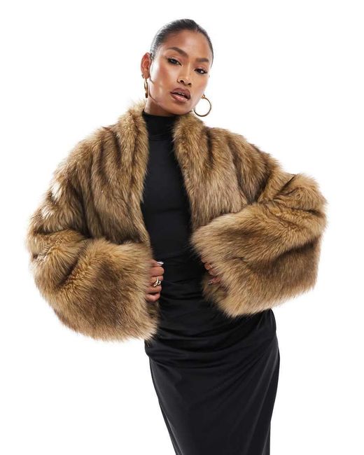 Aria Cove Brown Cropped Faux Fur Oversized Collar Jacket
