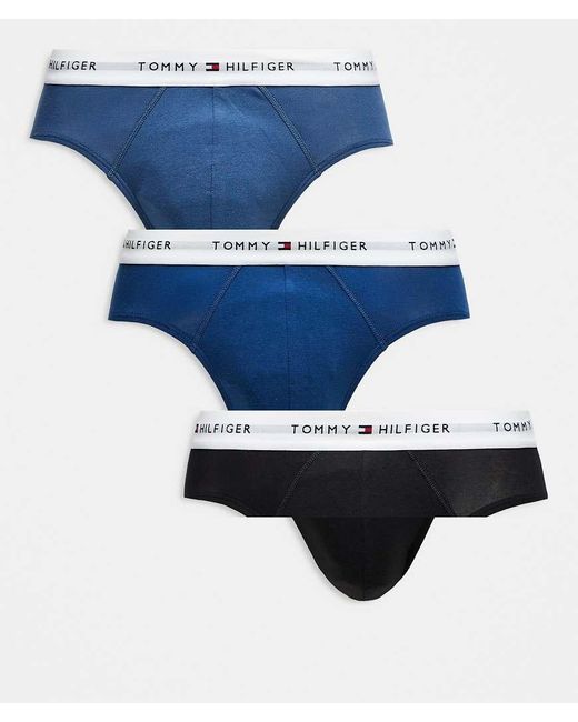 Tommy Hilfiger Blue Signature Cotton 3 Pack Logo Briefs for men