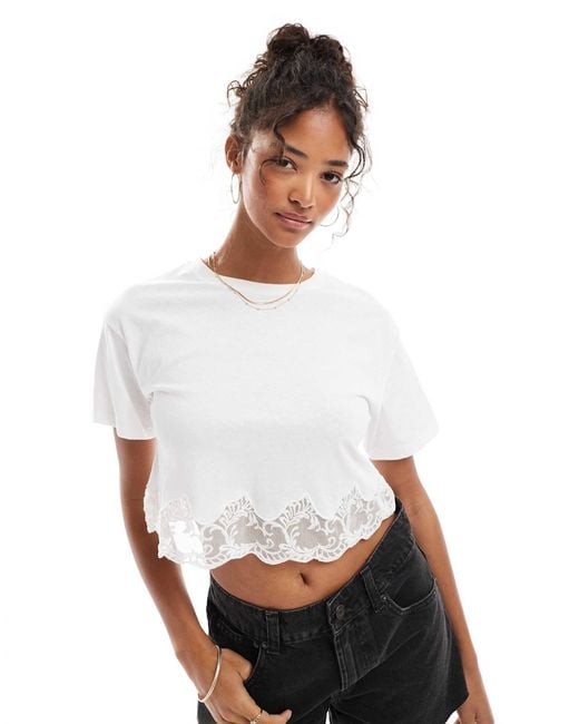 Miss Selfridge Brown Lace Hem Short Sleeve T-shirt
