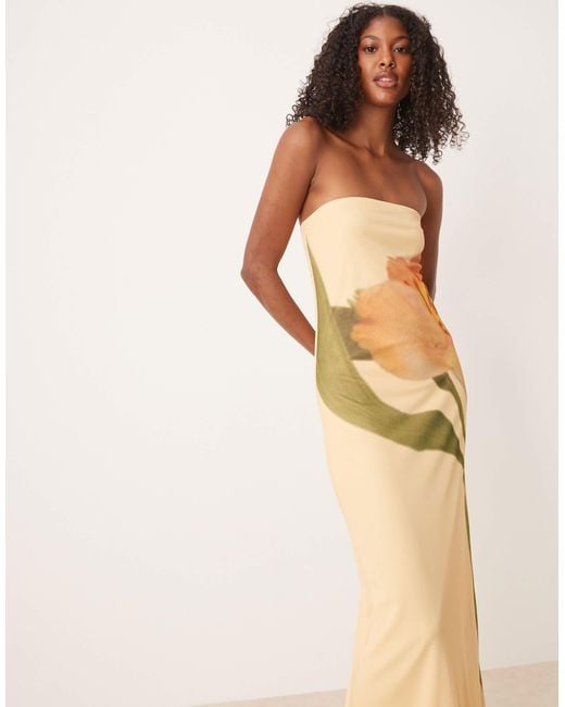 ASOS Natural Mesh Floral Placement Printed Bandeau Maxi Dress