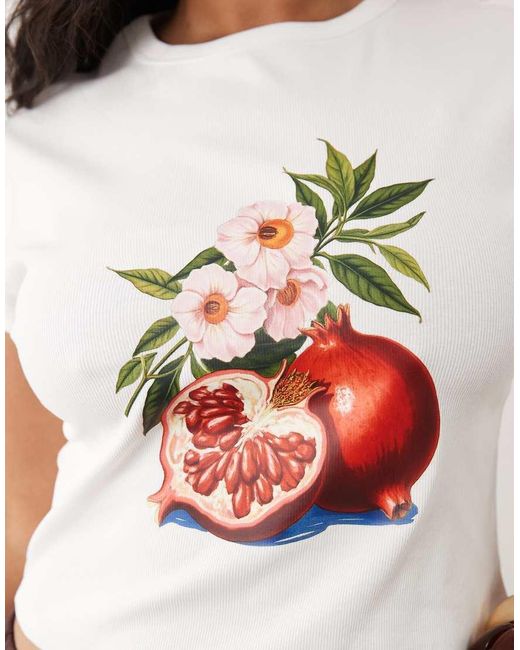 ASOS White Asos Design Curve Baby Tee With Vintage Pomegranate Graphic