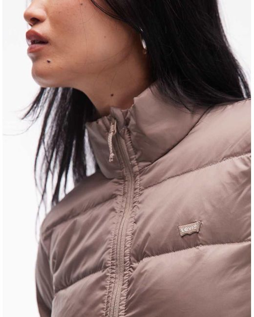 Polly di Levi's in Brown