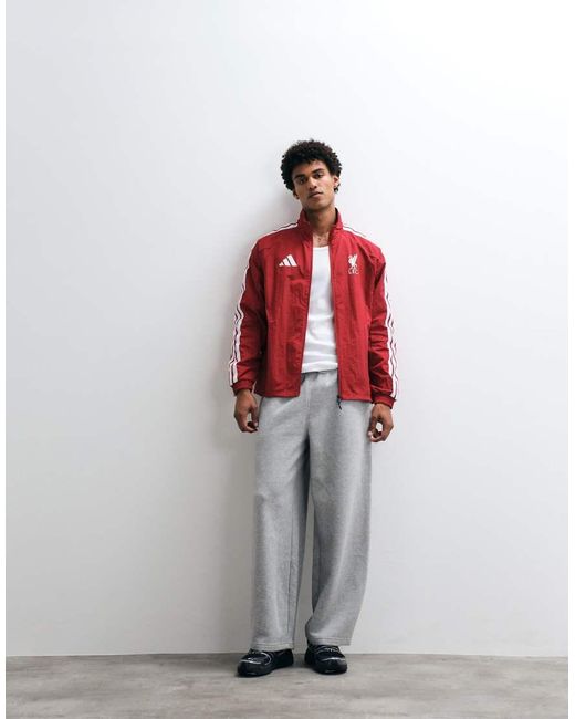 Adidas Originals Red Adidas Football Liverpool Home 26/27 Anthem Jacket for men