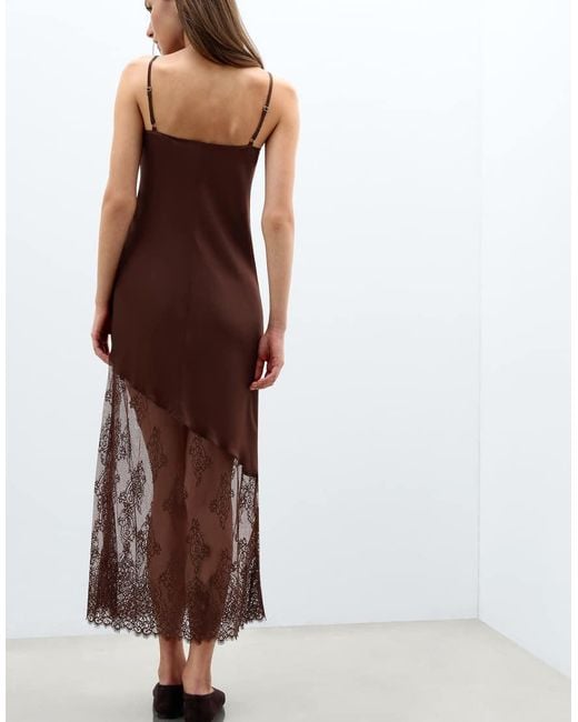 Intimissimi Brown Lace Perfection