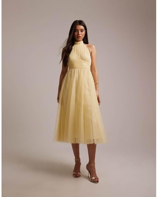 LACE & BEADS Natural Bridesmaid Tulle Halter Neck Midi Dress