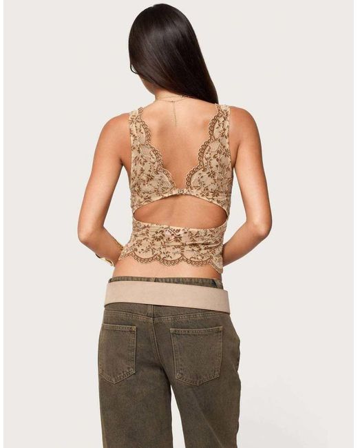 Edikted Brown Araura Velvet Floral Sheer Top