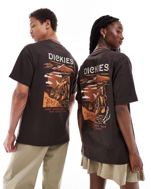 Dickies Brown – eagle point – t-shirt