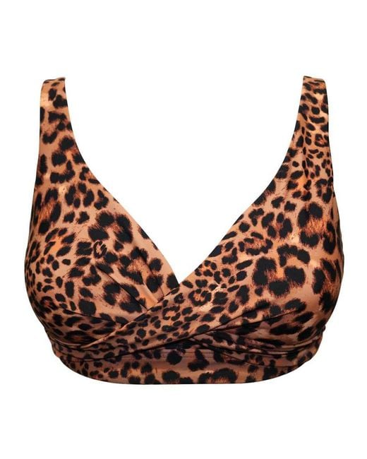 Pour Moi Brown Free Spirit Twist Front Non-Wired Bikini Top