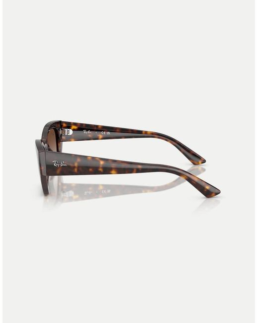 Ray-Ban Brown Zena Irregular Sunglasses With Lens