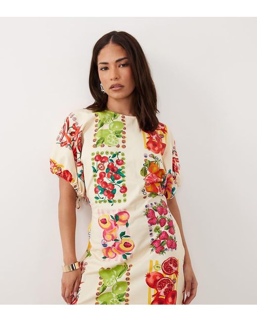 Petite Never Fully Dressed de color White