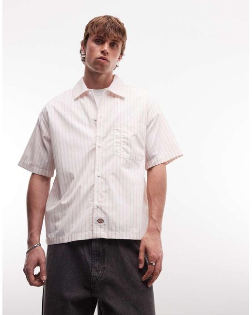 Dickies White Venedocia Short Sleeve Striped Shirt for men
