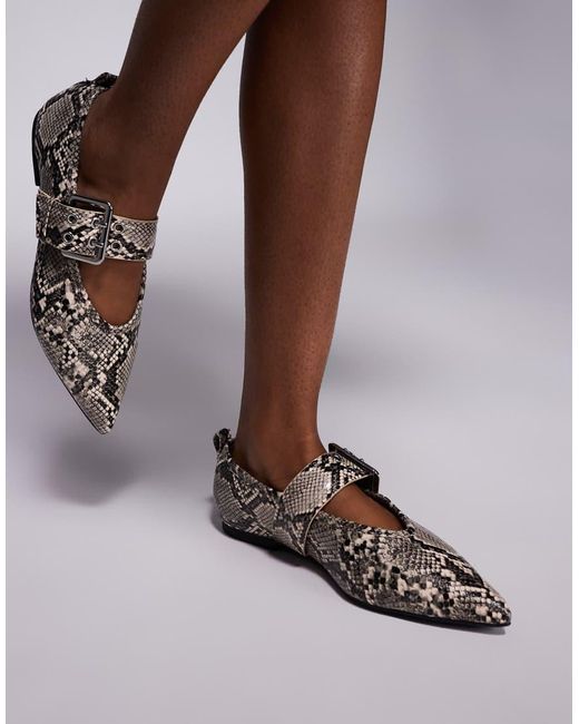 River Island Brown Pointed Buckle Detail Ballet Shoe