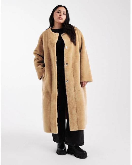 ASOS Brown Asos Design Curve Collarless Bonded Faux Fur Coat