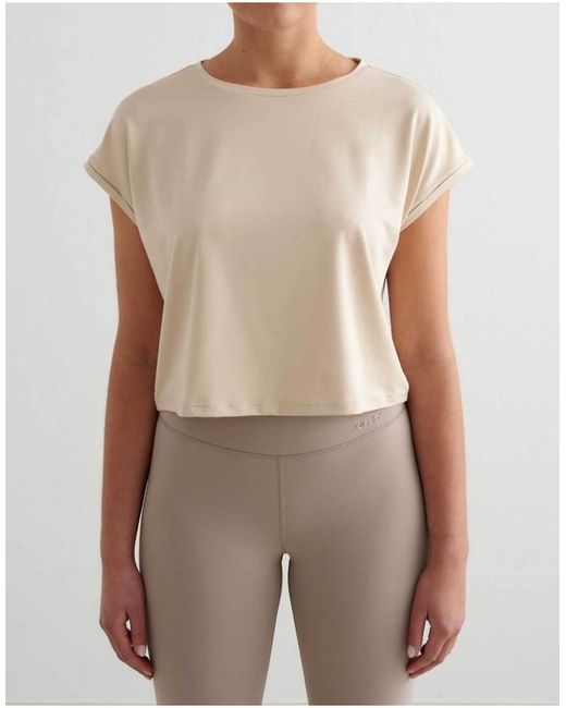 Aim'n Natural Café Au Lait Soft Basic Roll Sleeve Top