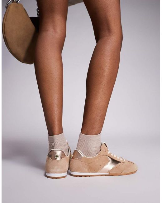 Fan Fav di Steve Madden in Brown